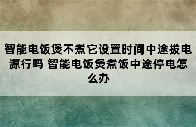 智能电饭煲不煮它设置时间中途拔电源行吗 智能电饭煲煮饭中途停电怎么办